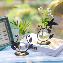 Schwarze Hydrokultur Vase mit Eisenrahmen für Terrarium