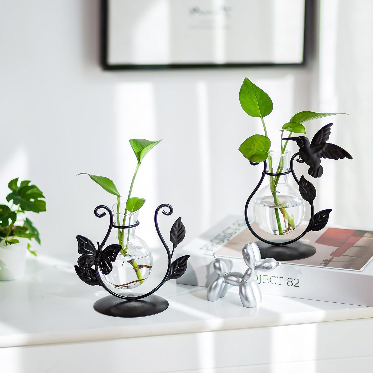 Propagationsstation Schwarz Hydrokultur Vase Eisenrahmen