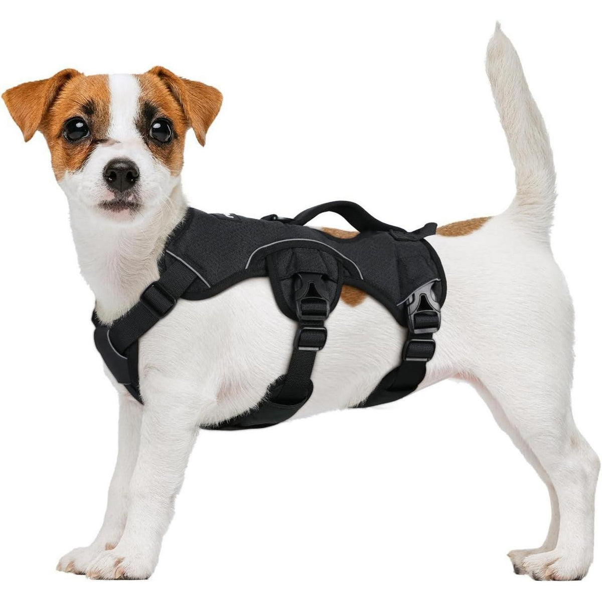 Ausbruchsicheres Hundegeschirr mit Griff, Schwarz S