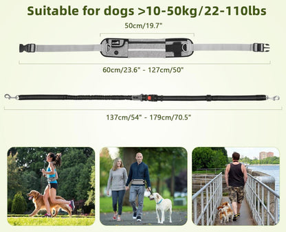 Pecute Joggingleine Hunde mit Bauchgurt und reflektierenden