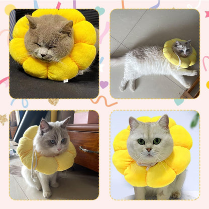 Verstellbare Sonnenblume Halskrause für Katzen und kleine Hunde