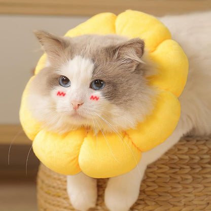 Halskrause Katze, Einstellbares Sonnenblume Halsband für Katzen