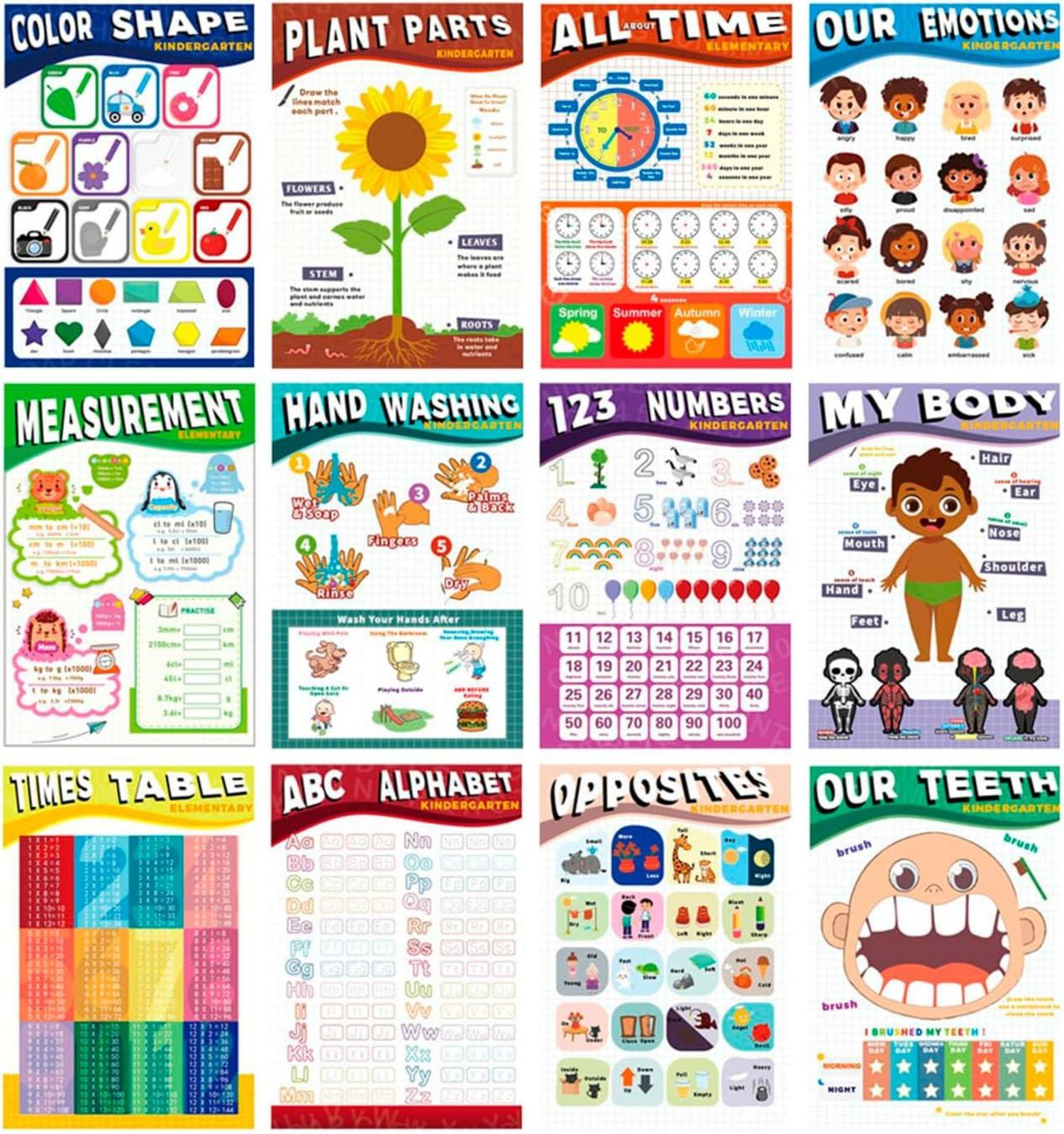 Pädagogische Poster für Kleinkinder 12er Set mit Whiteboard-Stift