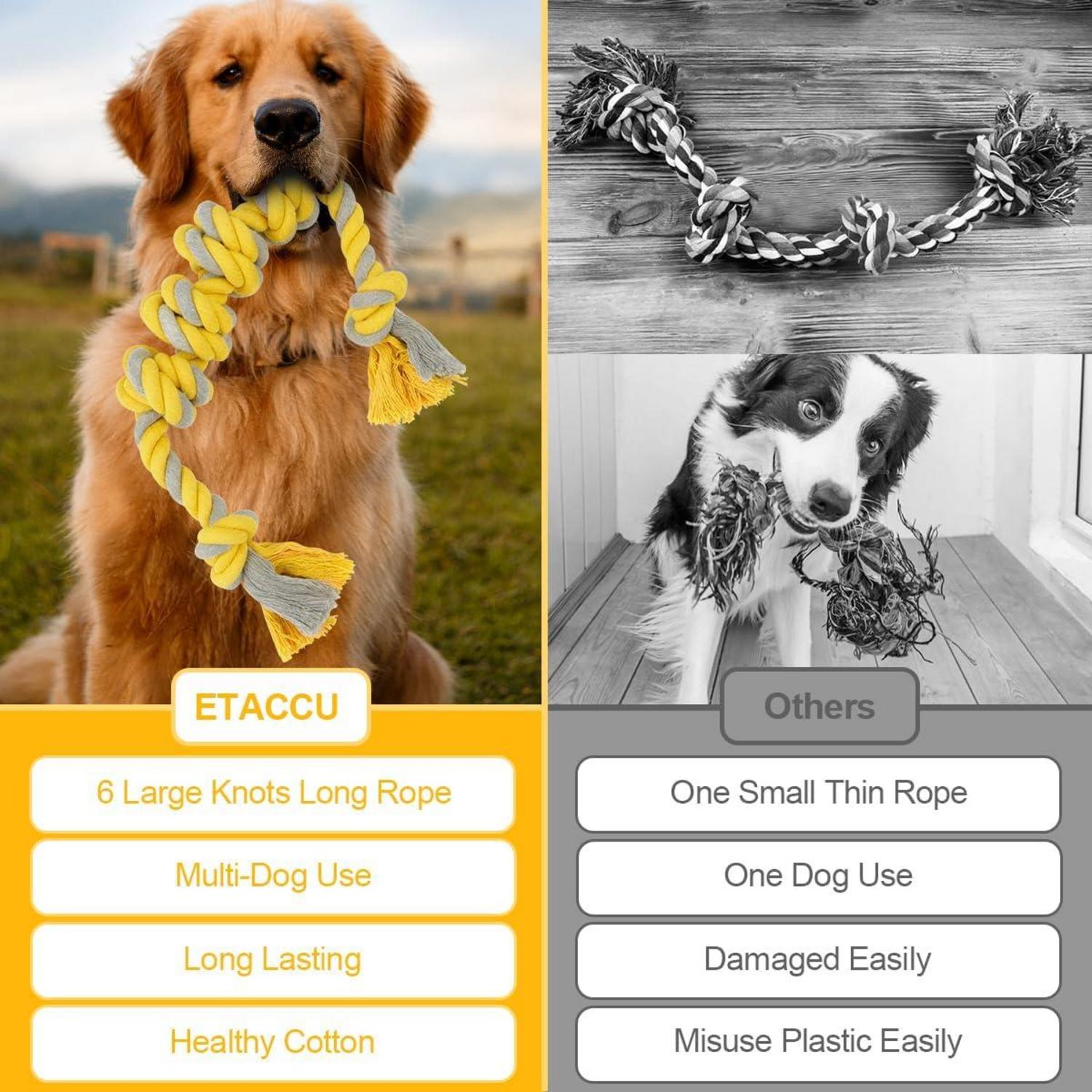 Hundespielzeug Seil Baumwolle Unzerstörbar Kauspielzeug 55cm+57cm