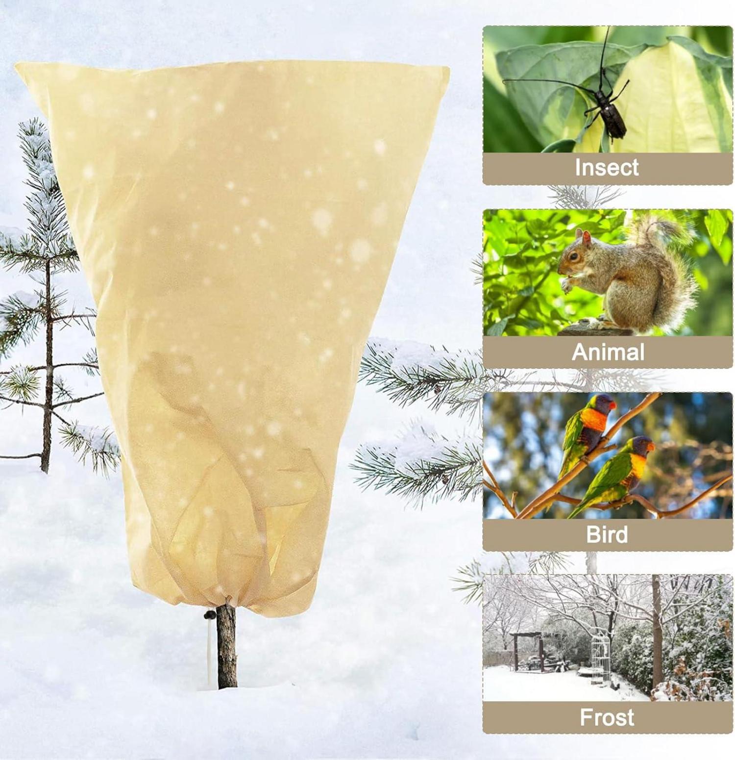 Pflanzenschutz Winter 200x240cm Frostschutz Reißverschluss Palmen Olivenbaum