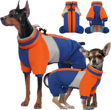 Wasserdichter Hundemantel für kleine Hunde Winter Blau XS