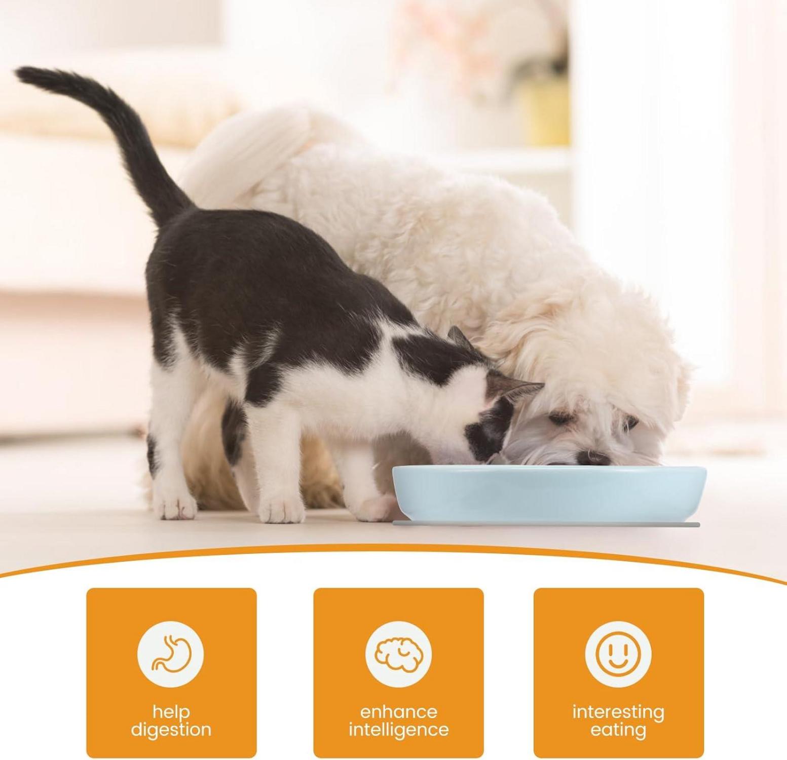 Anti Schling Napf Keramik Katze Slow Feeder Nassfutter Matte