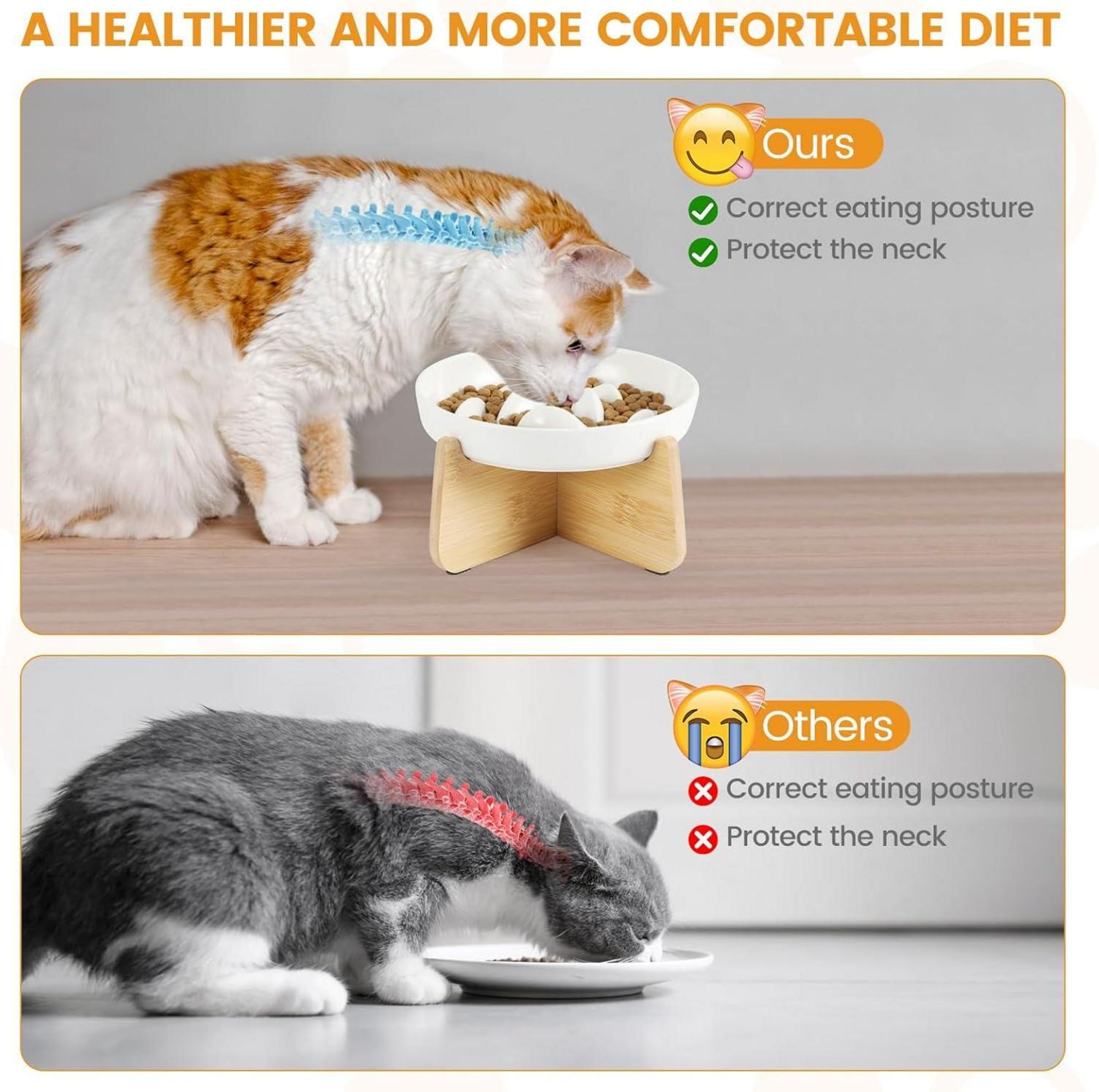Katzennapf Keramik Slow Feeder Anti Schling Napf rutschfest