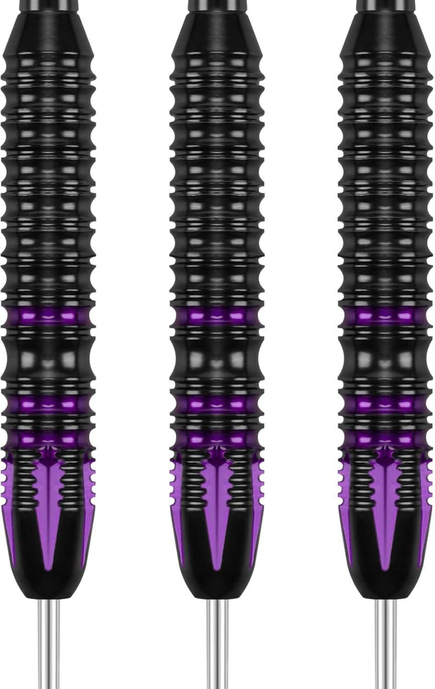 Dartpfeile Set Profi Steeldarts 24g 22g Aluminiumschaft Lila Blau