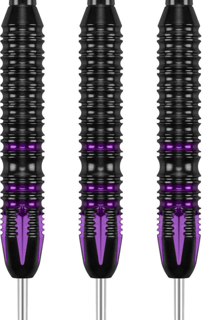 Dartpfeile Set Profi Steeldarts 24g 22g Aluminiumschaft Lila Blau