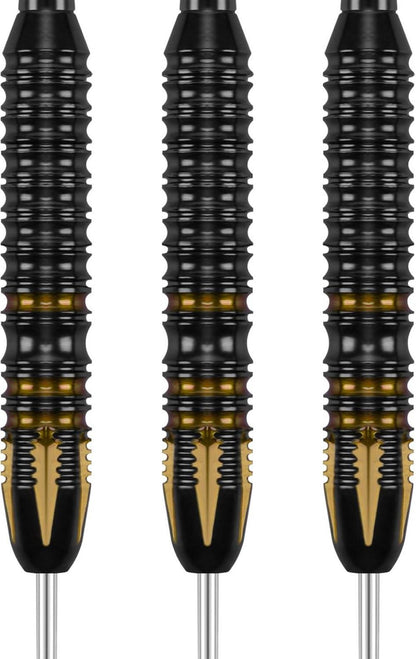 Grebarley Profi Dartpfeile Set mit Metallspitze 24g Braun und Blau