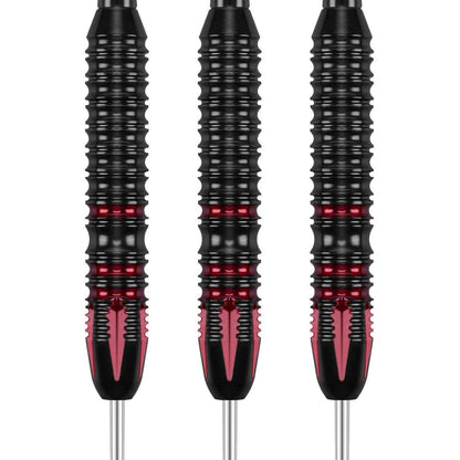 Dartpfeile Profi Set, 12 Stück Steeldarts 24g Rot/22g Blau