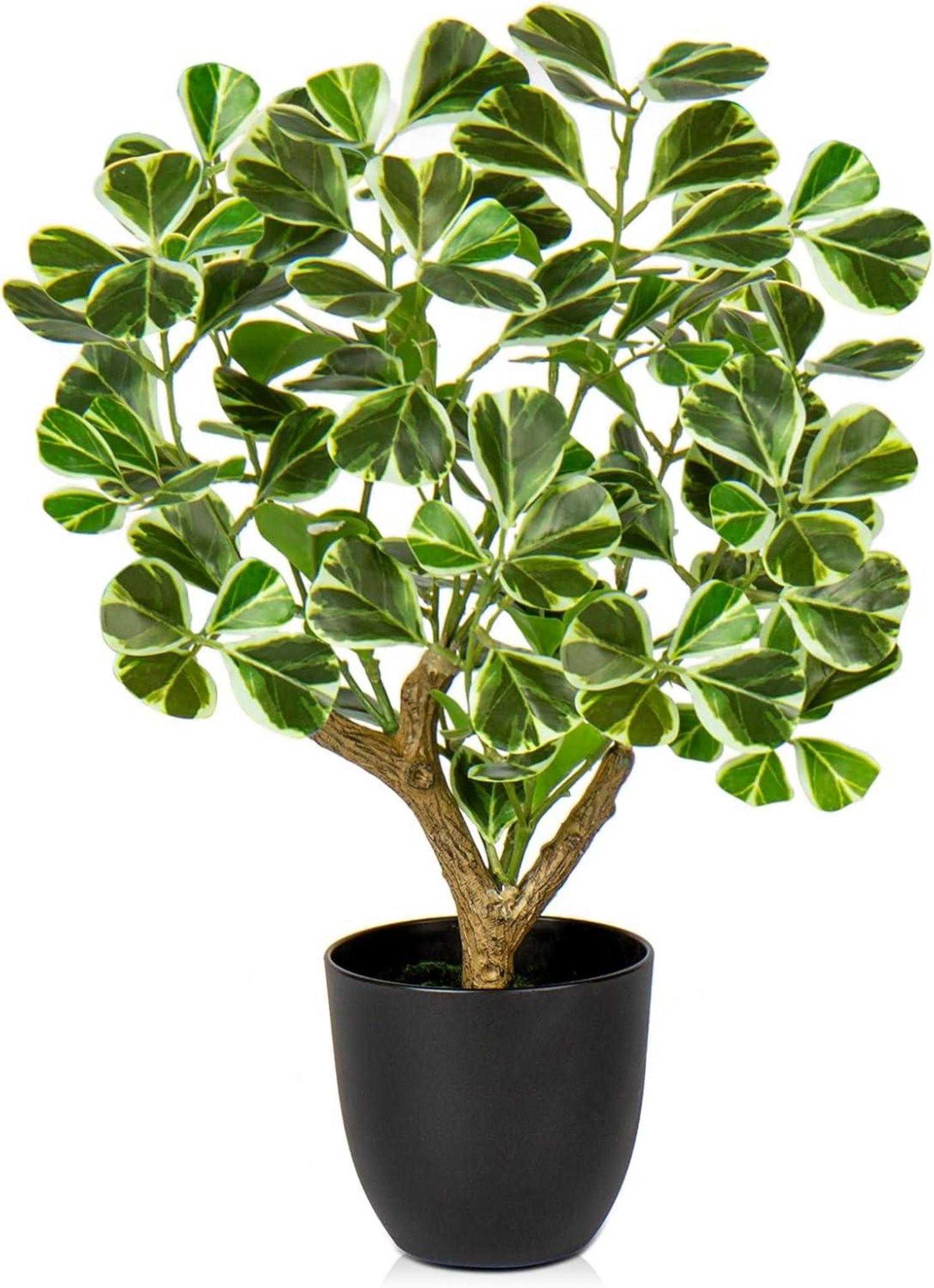 Kunstpflanze Ficus Schwarzem Topf Dekopflanze Fensterbank Wohnzimmer