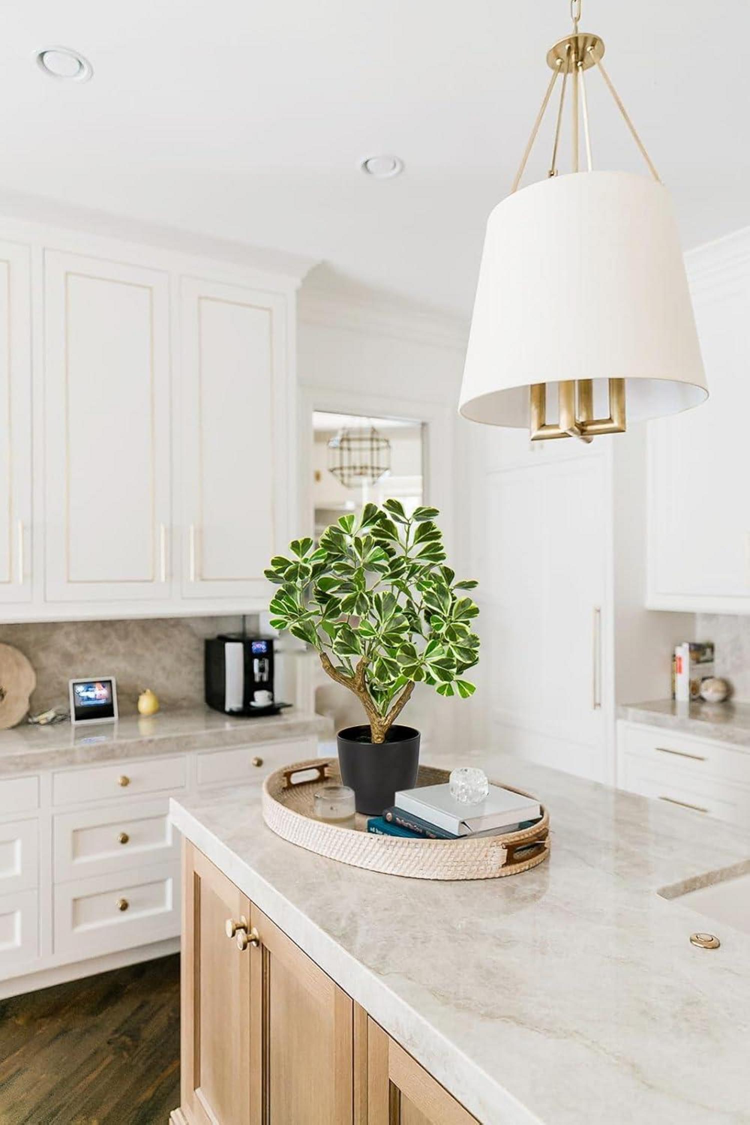 Dekopflanze Künstliche Ficus 43CM Grün Weiß Wohnzimmer Badezimmer Fensterbank