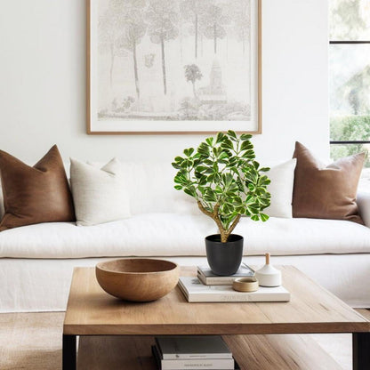 43CM Künstliche Ficus Kunstpflanze in Schwarzem Topf - Deko für Fensterbank