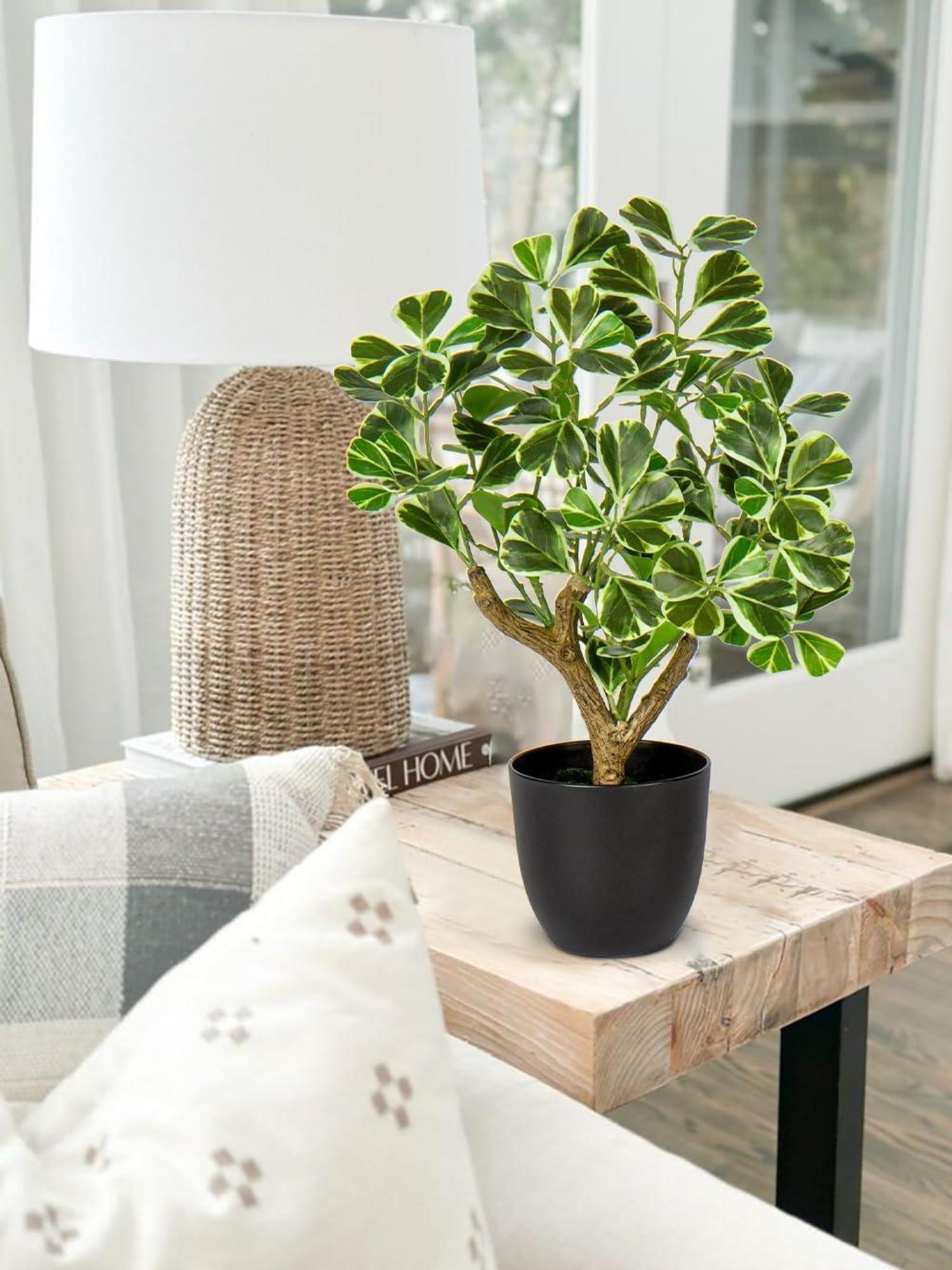 43CM Künstliche Ficus Kunstpflanze im Schwarzem Topf - Dekopflanze