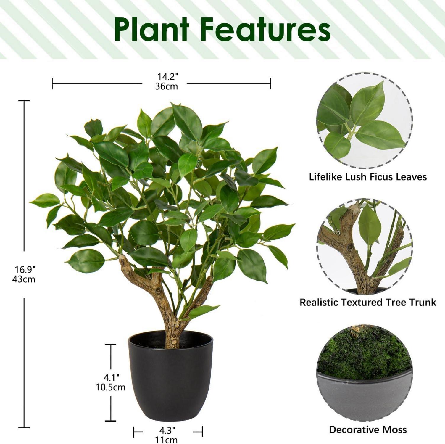 Kunstpflanze Ficus 43CM Schwarz Topf Dekopflanze Grün