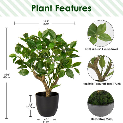 Kunstpflanze Ficus 43CM Schwarz Topf Dekopflanze Grün