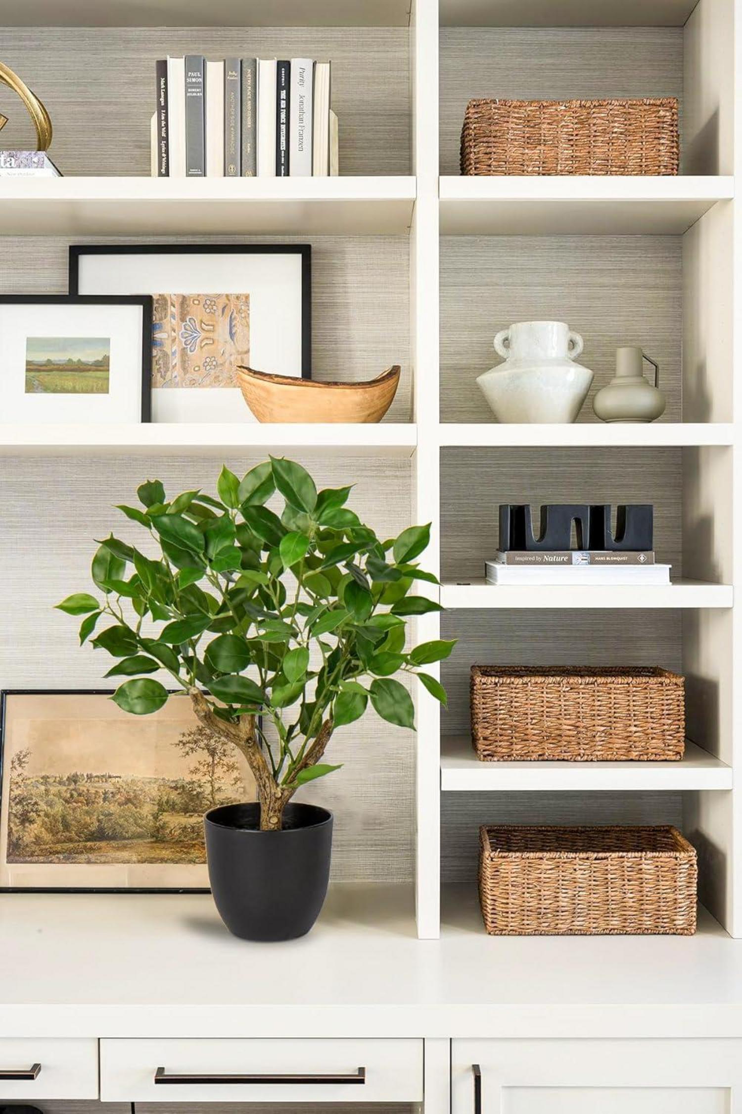 Kunstpflanze Ficus Schwarzem Topf Dekopflanze Fensterbank Grün