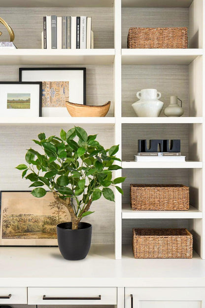 Kunstpflanze Ficus Schwarzem Topf Dekopflanze Fensterbank Grün