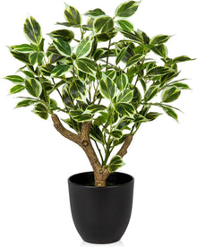 Künstliche Ficus Pflanze 43CM Deko Schwarz