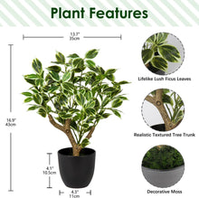 Kunstpflanze Ficus 43CM in Schwarzem Topf Deko Fensterbank