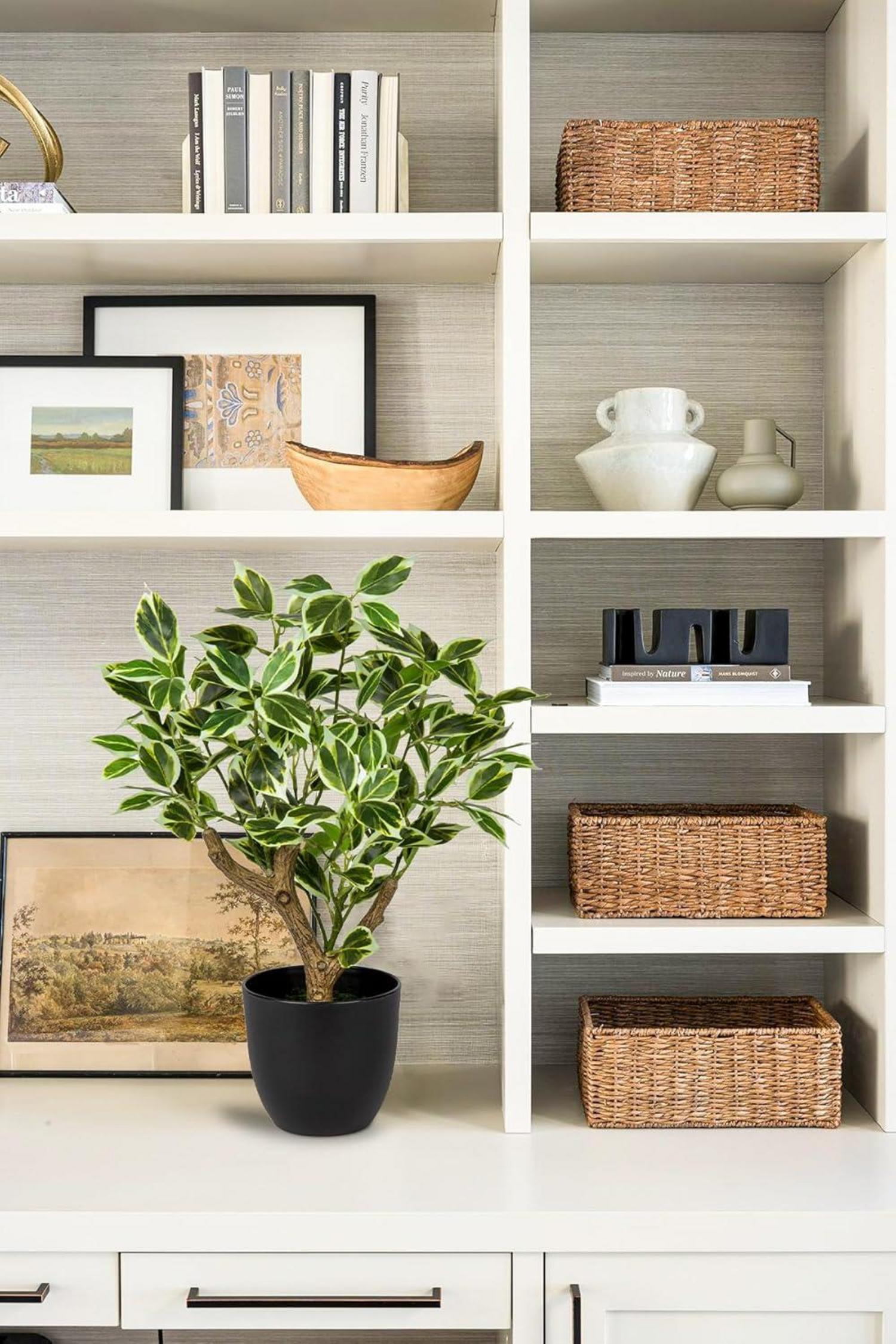 Künstliche Ficus Pflanze 43CM Deko Schwarz