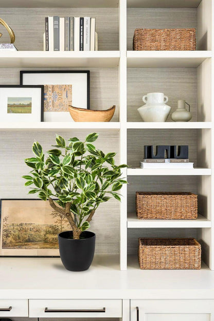 Künstliche Ficus Pflanze 43CM Deko Schwarz