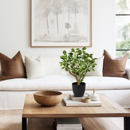 Kunstpflanze Ficus 43CM Schwarzem Topf Dekopflanze Grüner und weißer Ficus - Groß #1