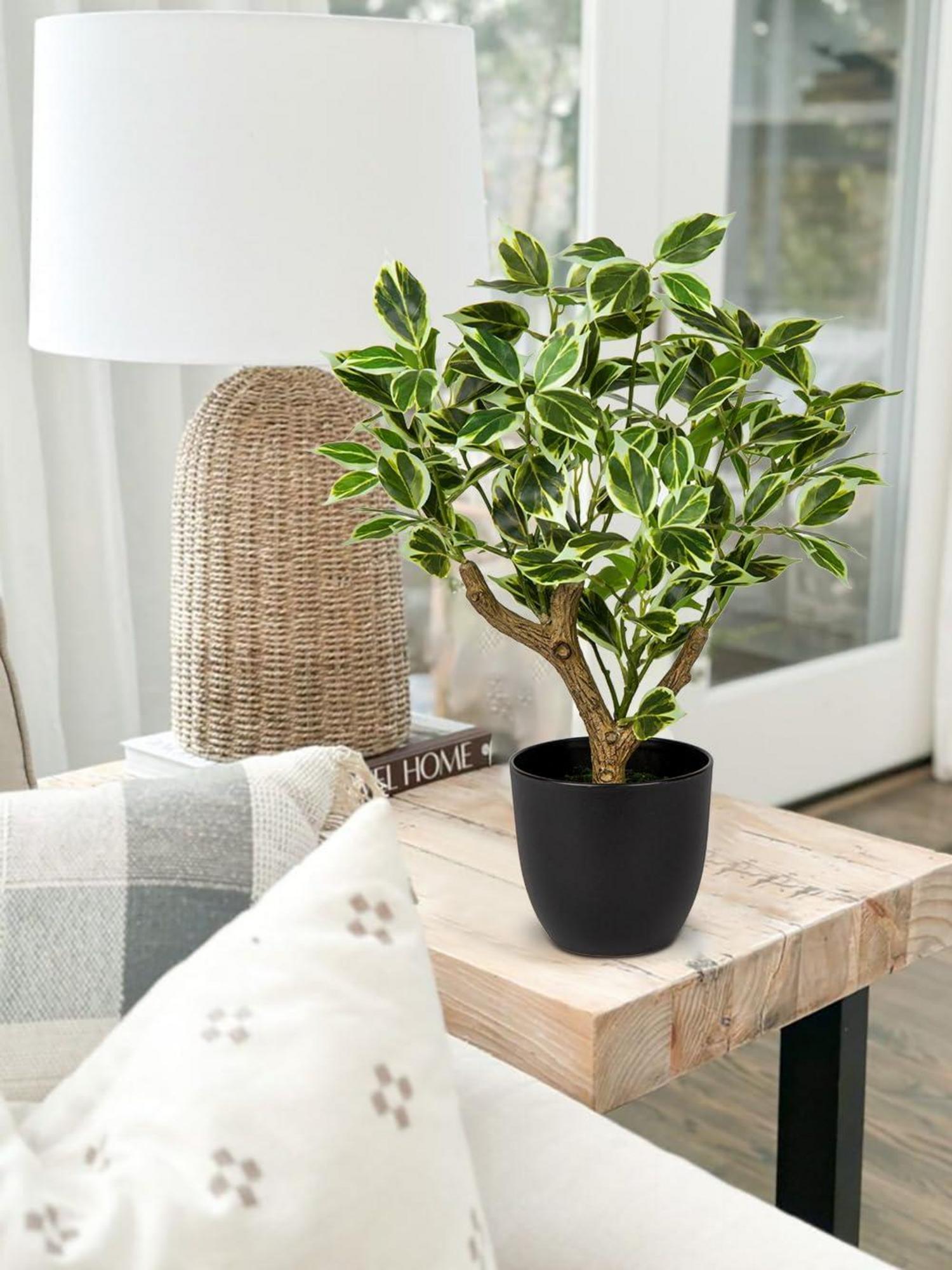 Künstliche Ficus Kunstpflanze 43cm Grüner Kunstpflanzen Deko Schwarz Topf