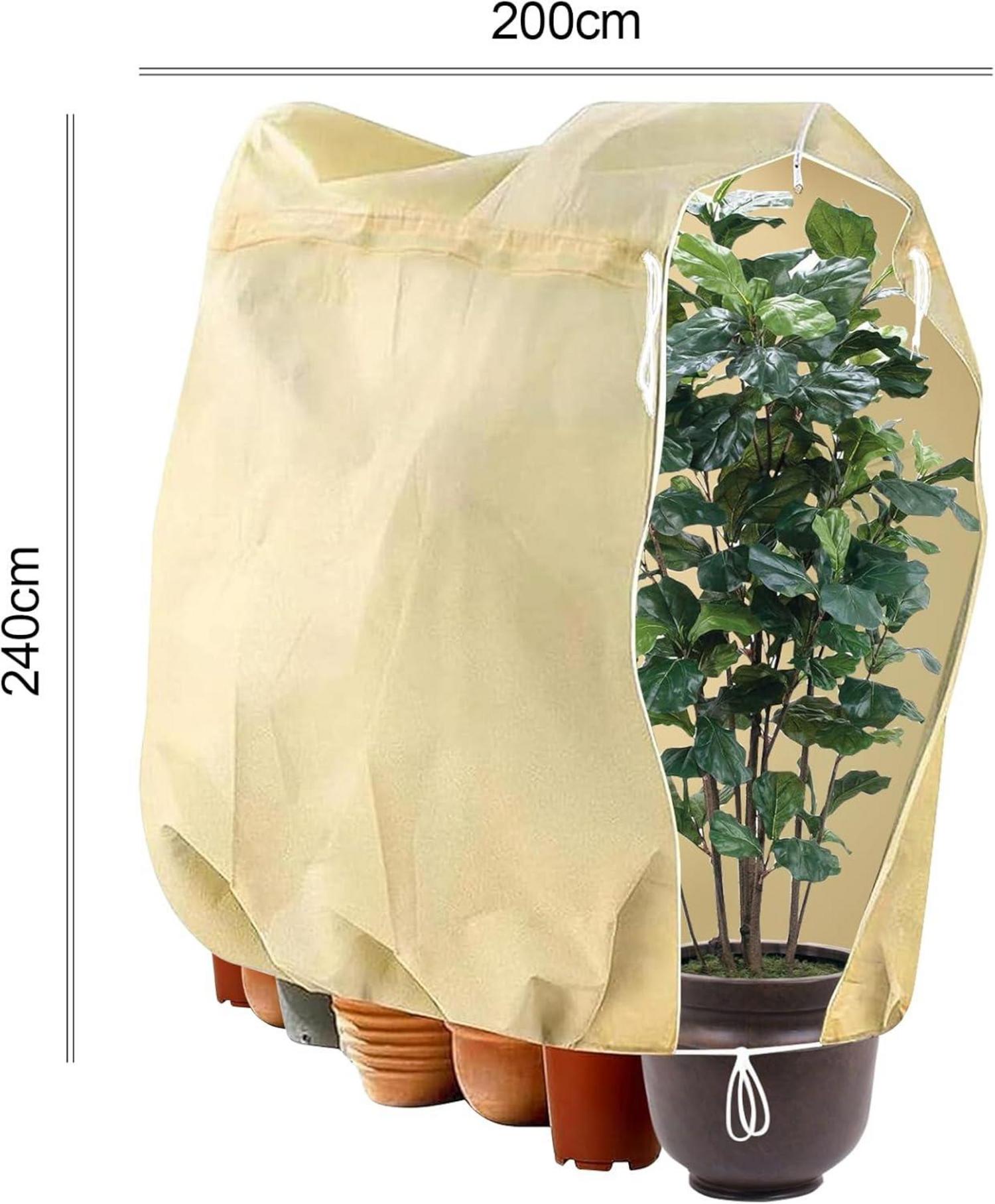 2er Set Winterschutz Pflanzenschutz 240x200cm für Kübelpflanzen