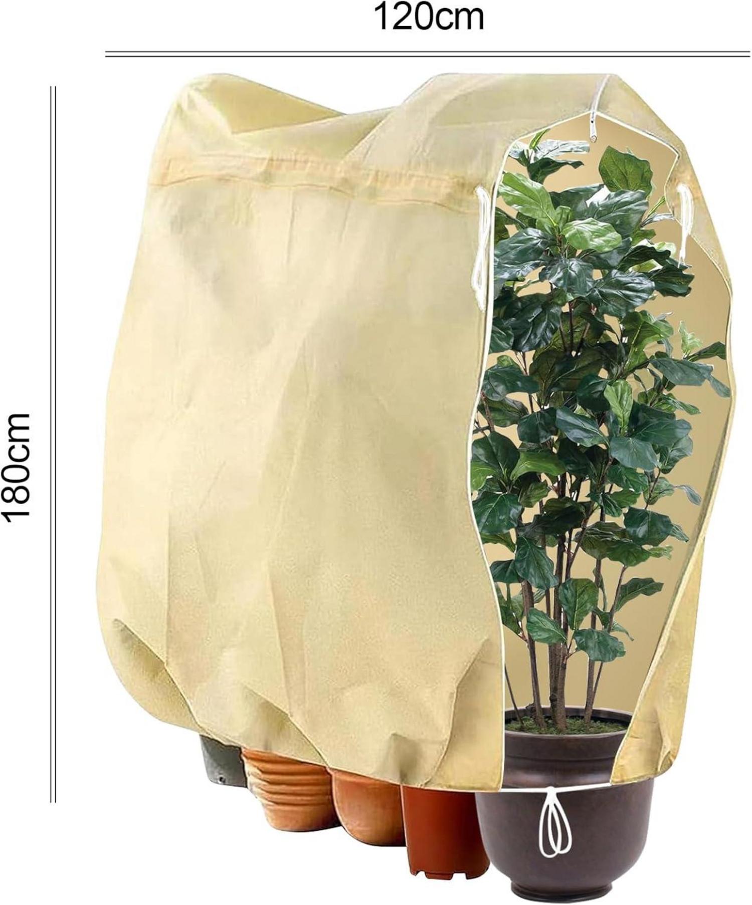 2er Set Pflanzenschutz Winter 180x120cm Frostschutz 80g/㎡ für Kübelpflanzen