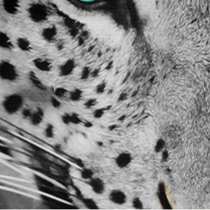 Leopard 3D Bettwäsche-Set 135x200 cm mit Kissenbezug