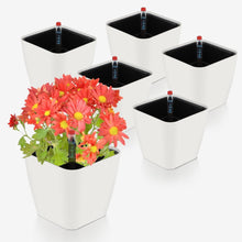 Selbstbewässernder Kräutertopf mit Wasserstandsanzeige 13,7 * 13,5 cm