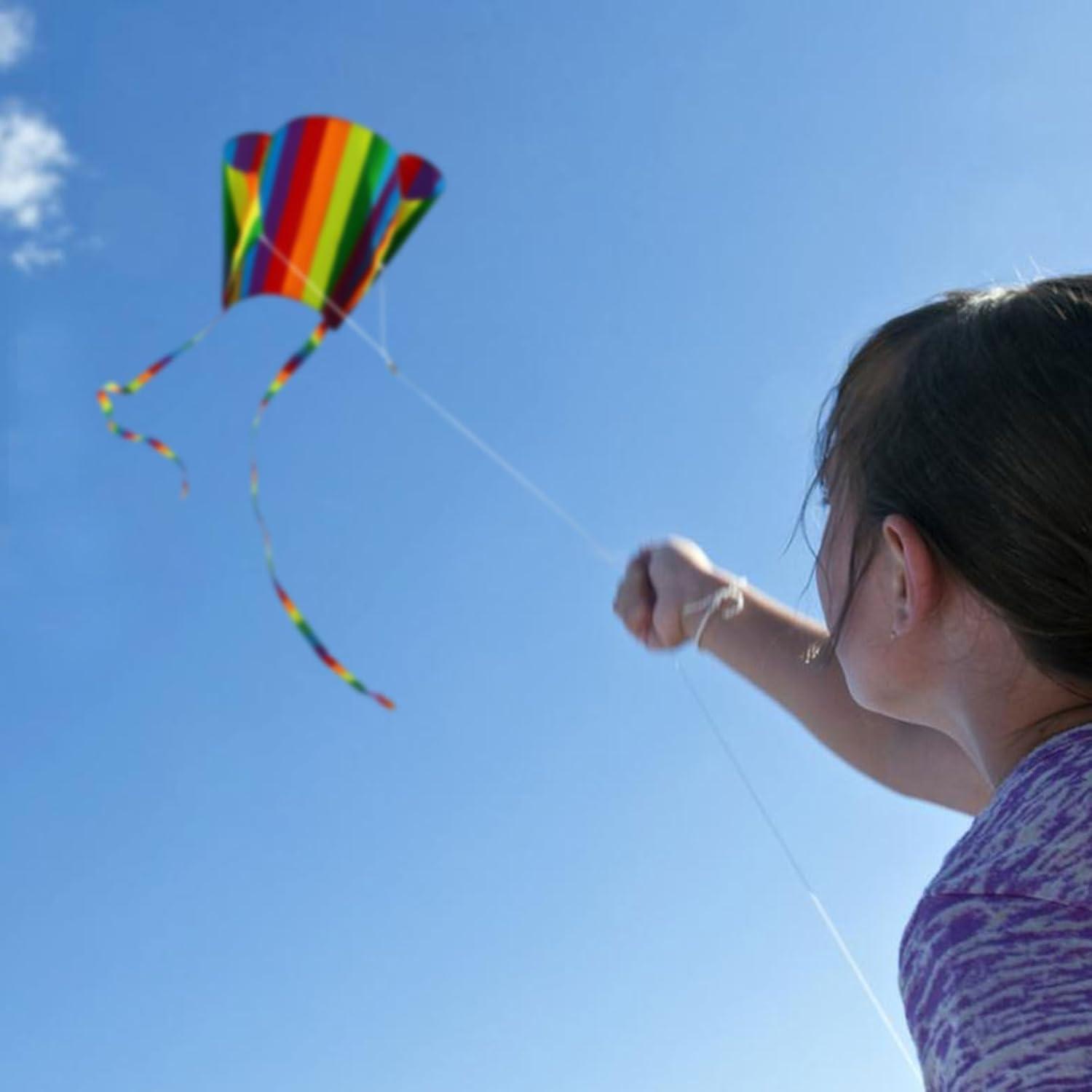 Regenbogendrachen 2er Set für Kinder, einfacher Flieger, langer Schwanz