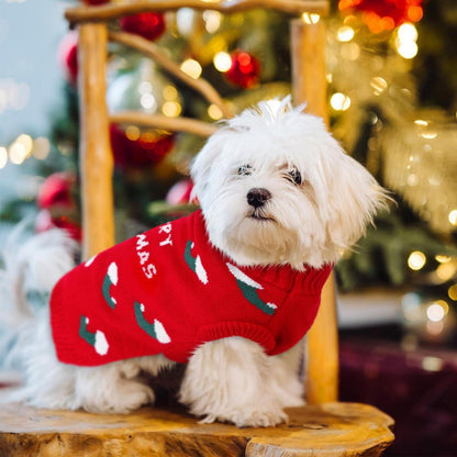 Hundepullover Weihnachten Rot | Strickpulli für kleine & mittelgroße Hunde