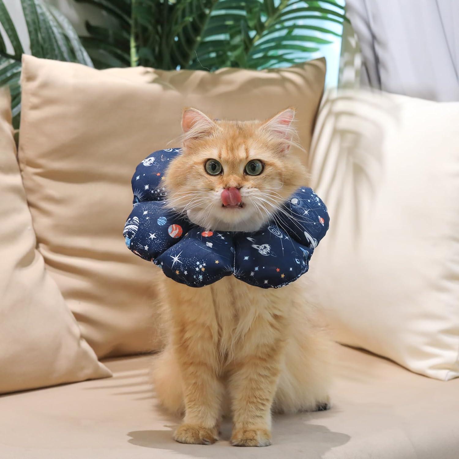 Halskrause Katze Weich Schützend Verstellbar Leicht Behindert Sicht