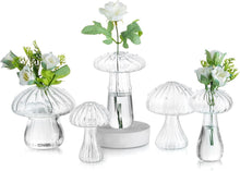 5er Set Pilz Vasen Glas Klar Blumenvasen Mini Deko