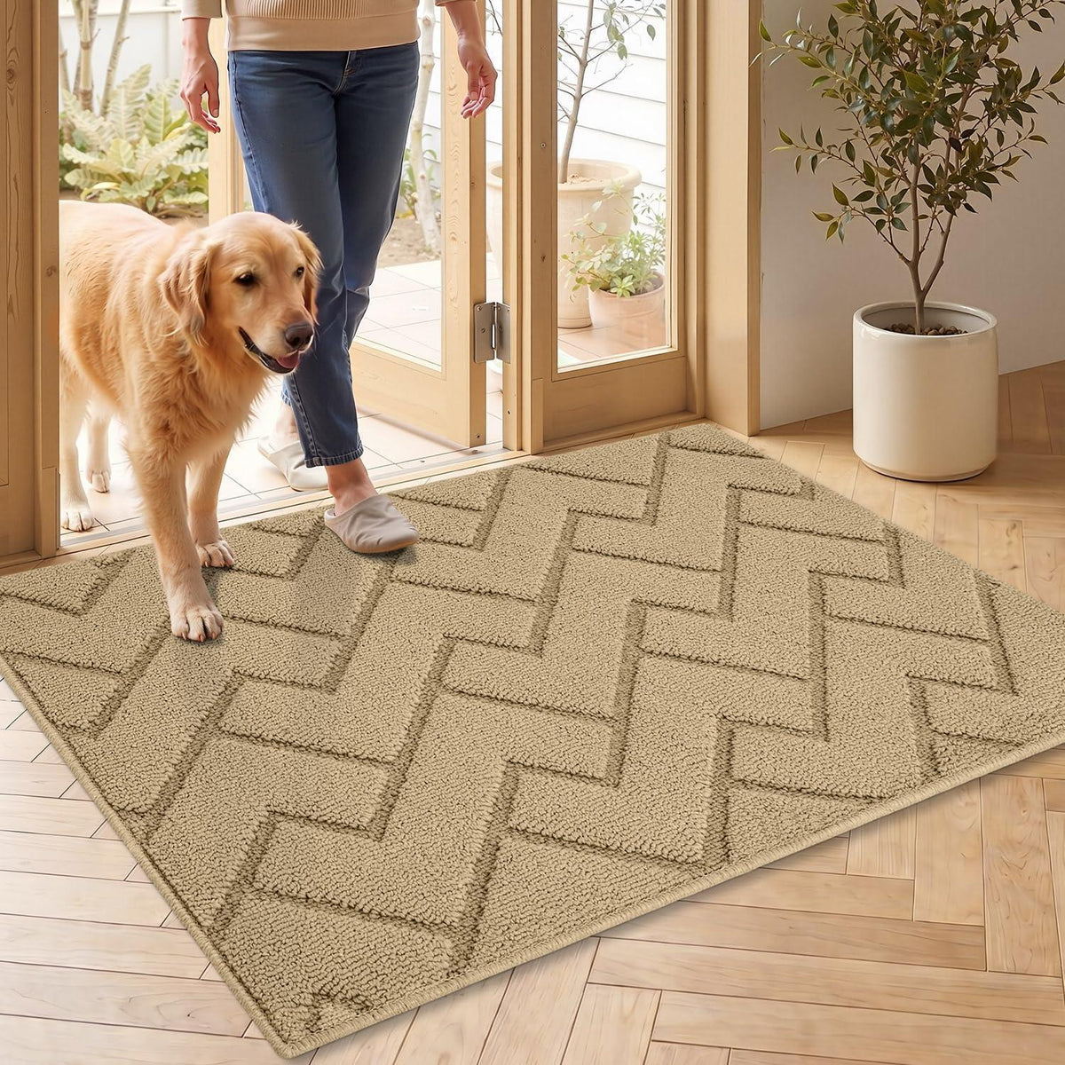 Fußmatte Innen Außen Waschbar – Rutschfest & Saugfähig, 60x90cm Beige