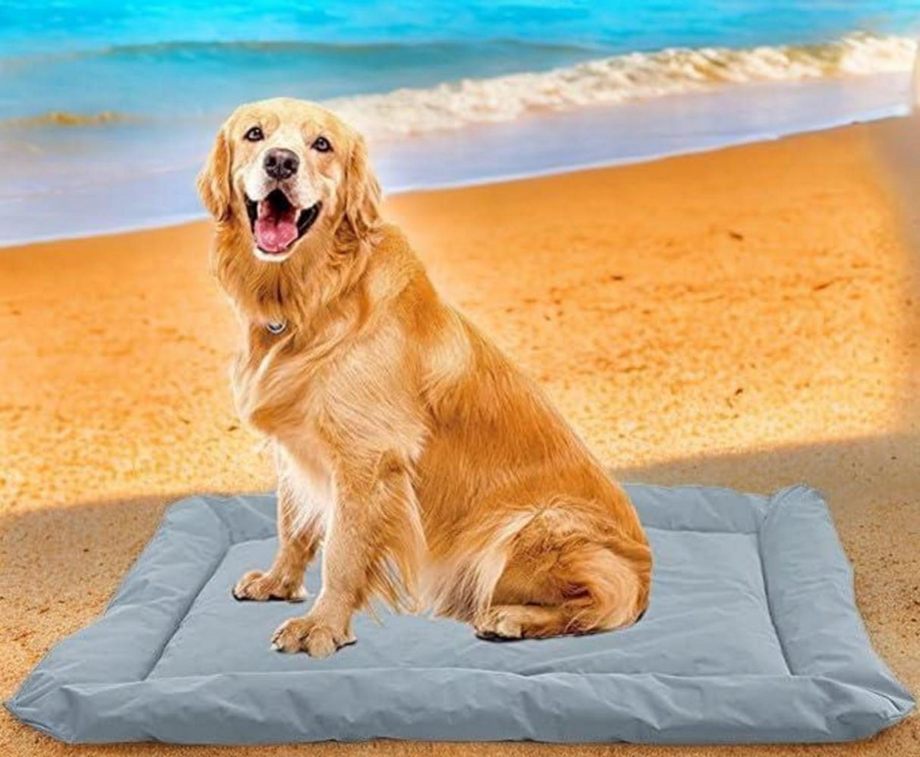 Hundedecke für Unterwegs Faltbar Wasserdicht Orthopädisches Hundebett Grau