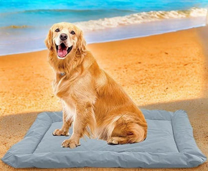 Hundedecke für Unterwegs Faltbar Wasserdicht Orthopädisches Hundebett Grau