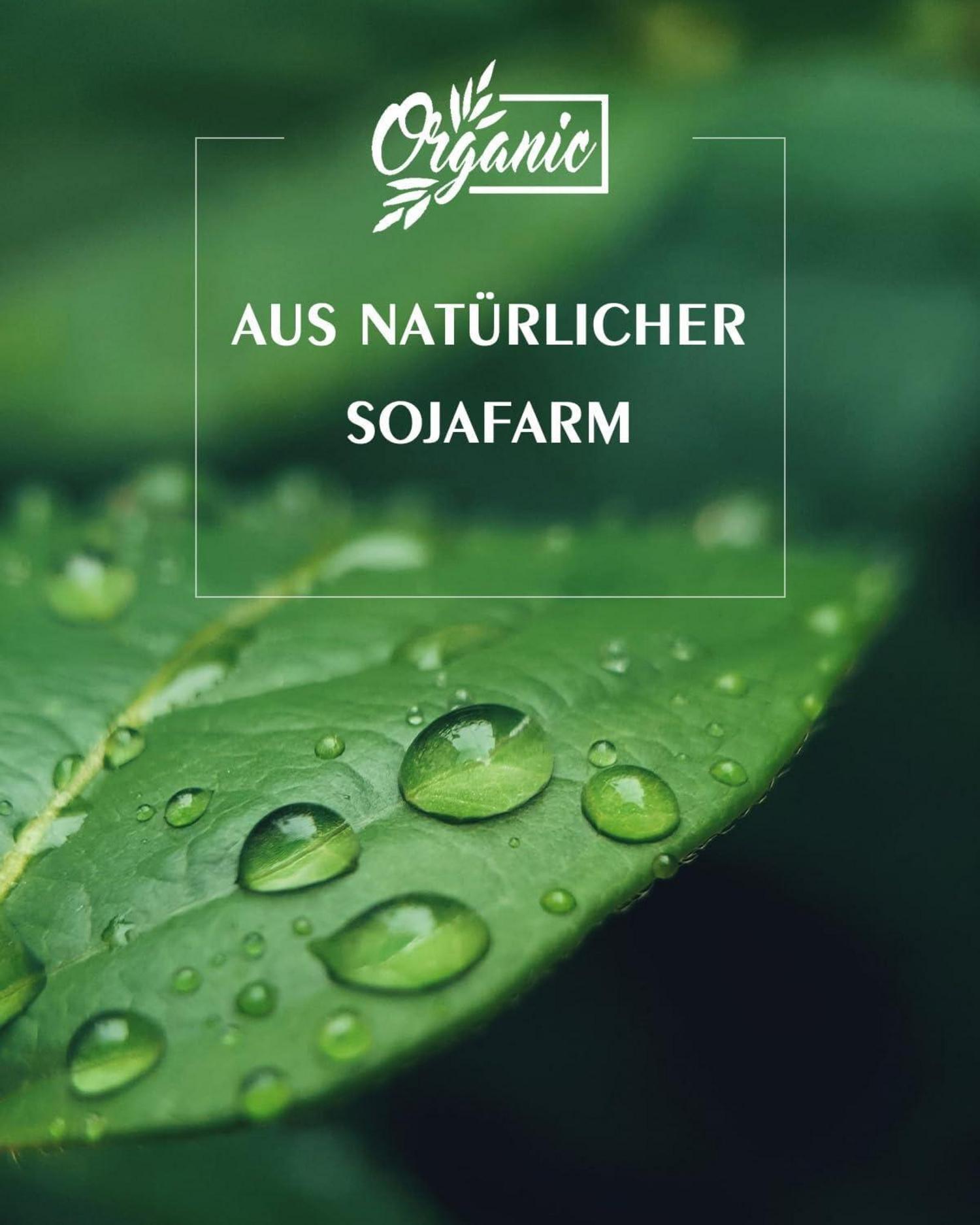 Natürliches Sojawachs für Kerzenherstellung 1.8kg Bio-Qualität