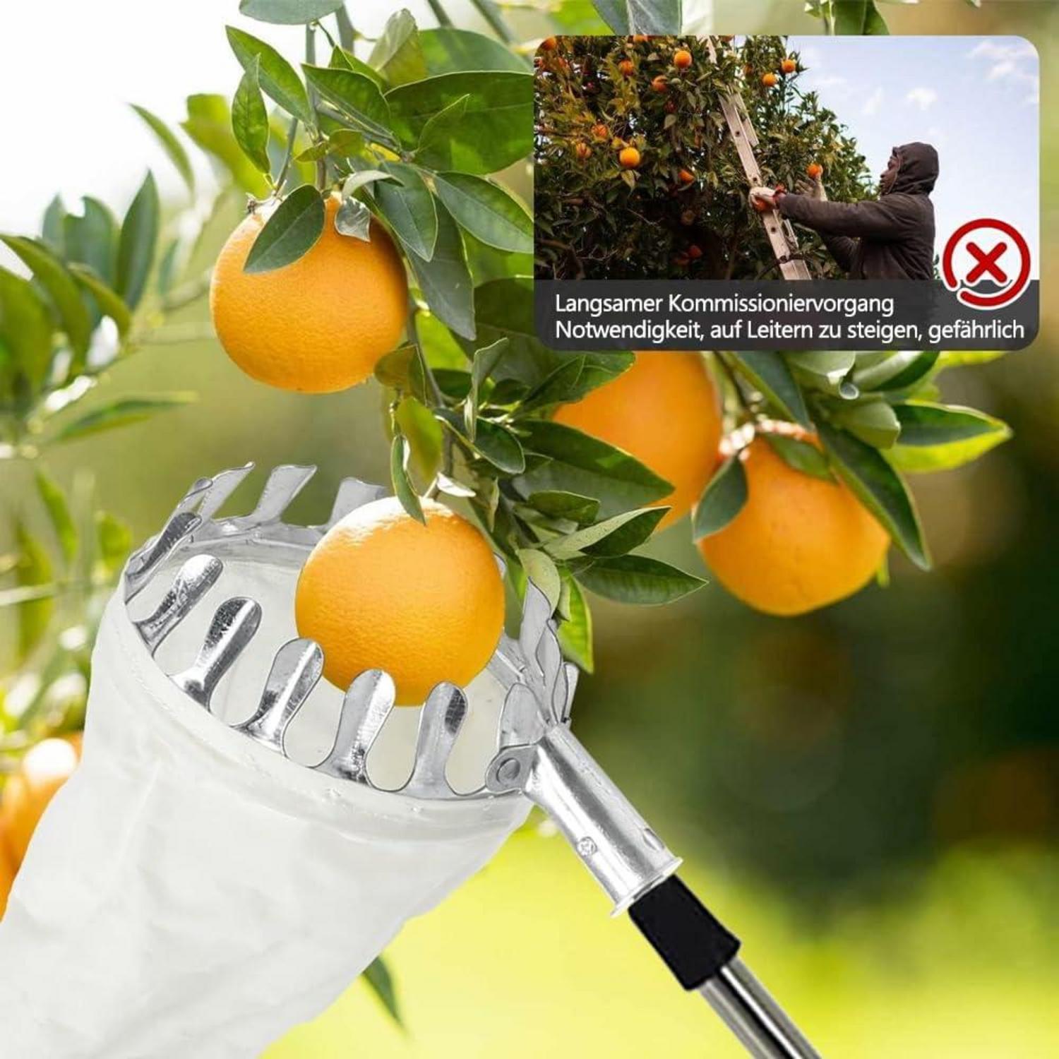 Obstpflücker 16 cm mit 3m Stiel und Baumwollbeutel