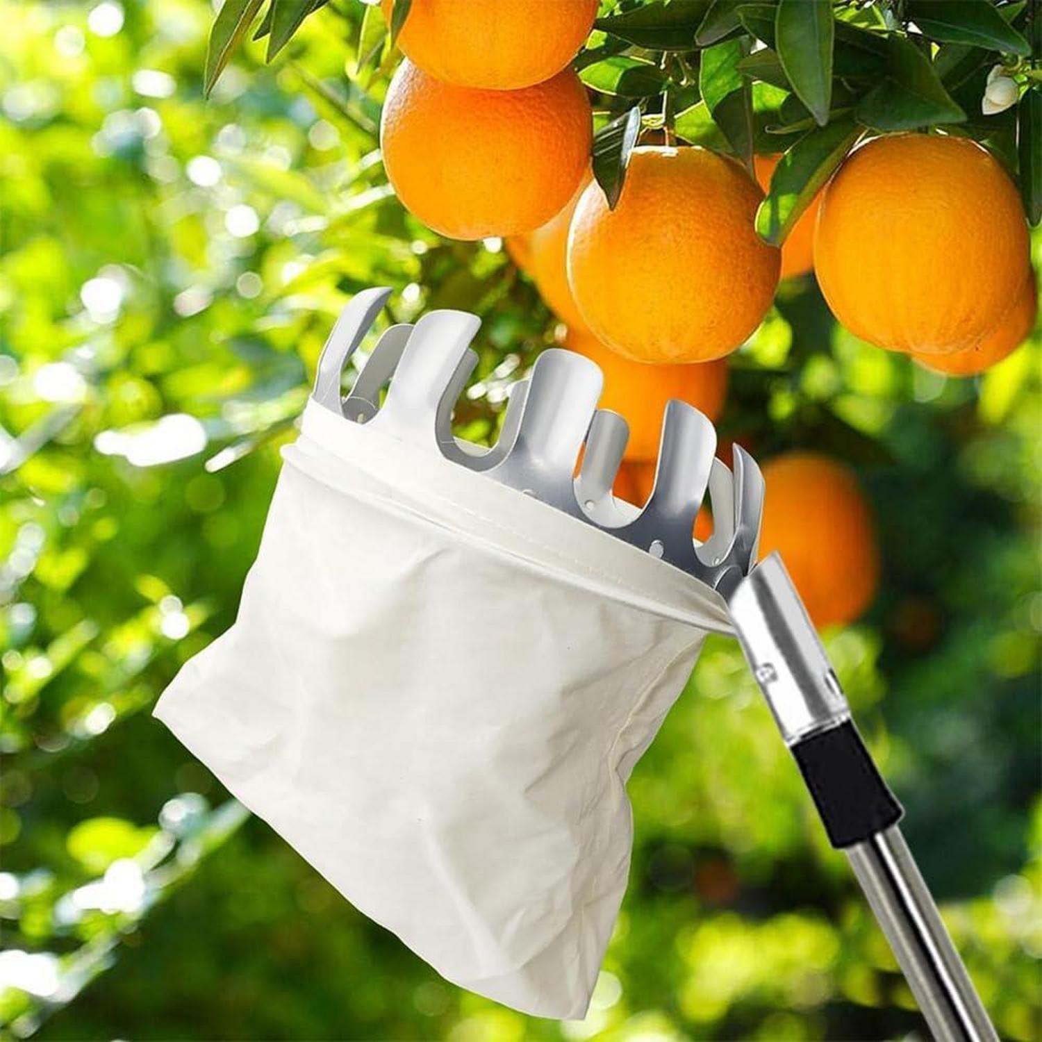 Obstpflücker 16cm 3m Apfelpflücker für Kirschen Pflaumen Silber
