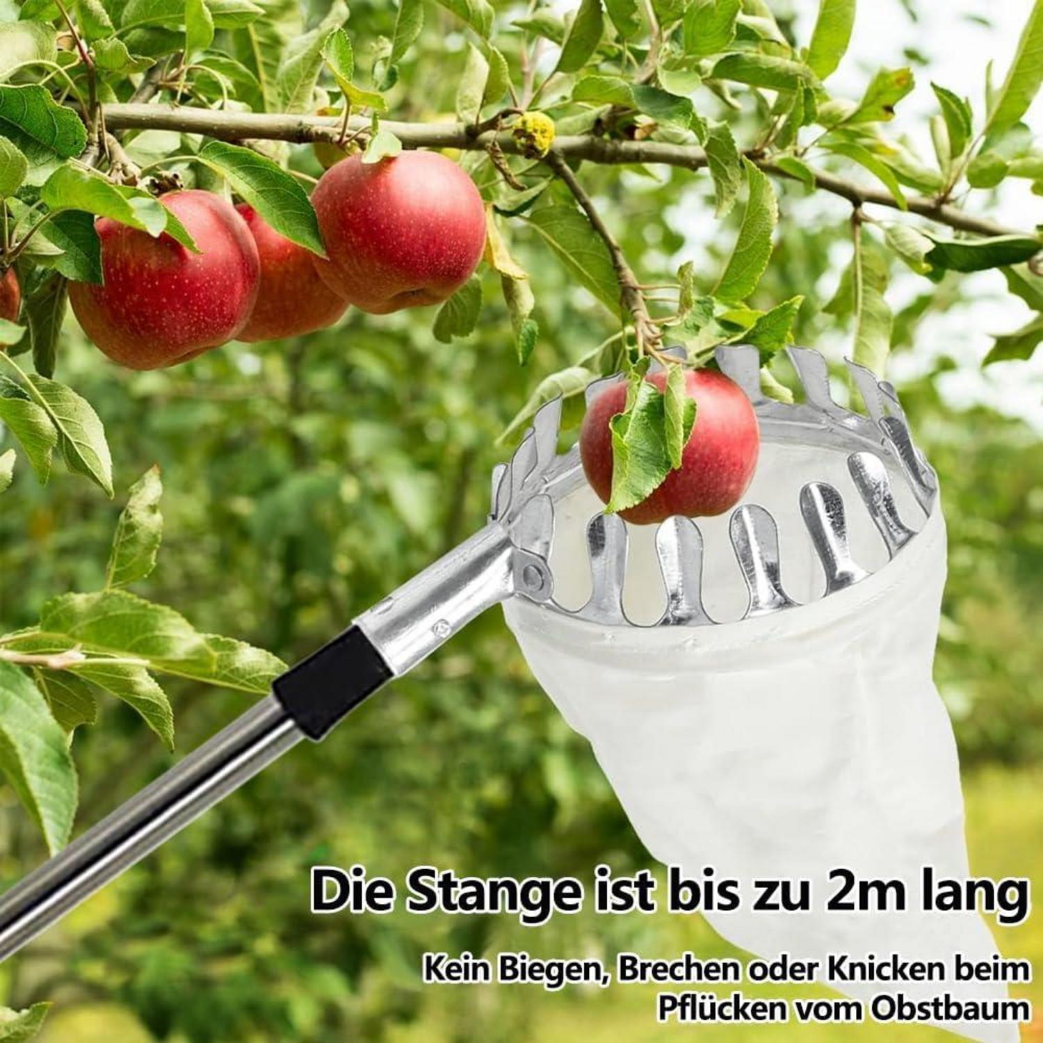 Obstpflücker Ø16 cm 3m Mit Baumwollbeutel, Obstsammler