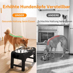 Toozey Hundenapf Erhöht 2L Futternäpfe mit Auffangschale Schwarz