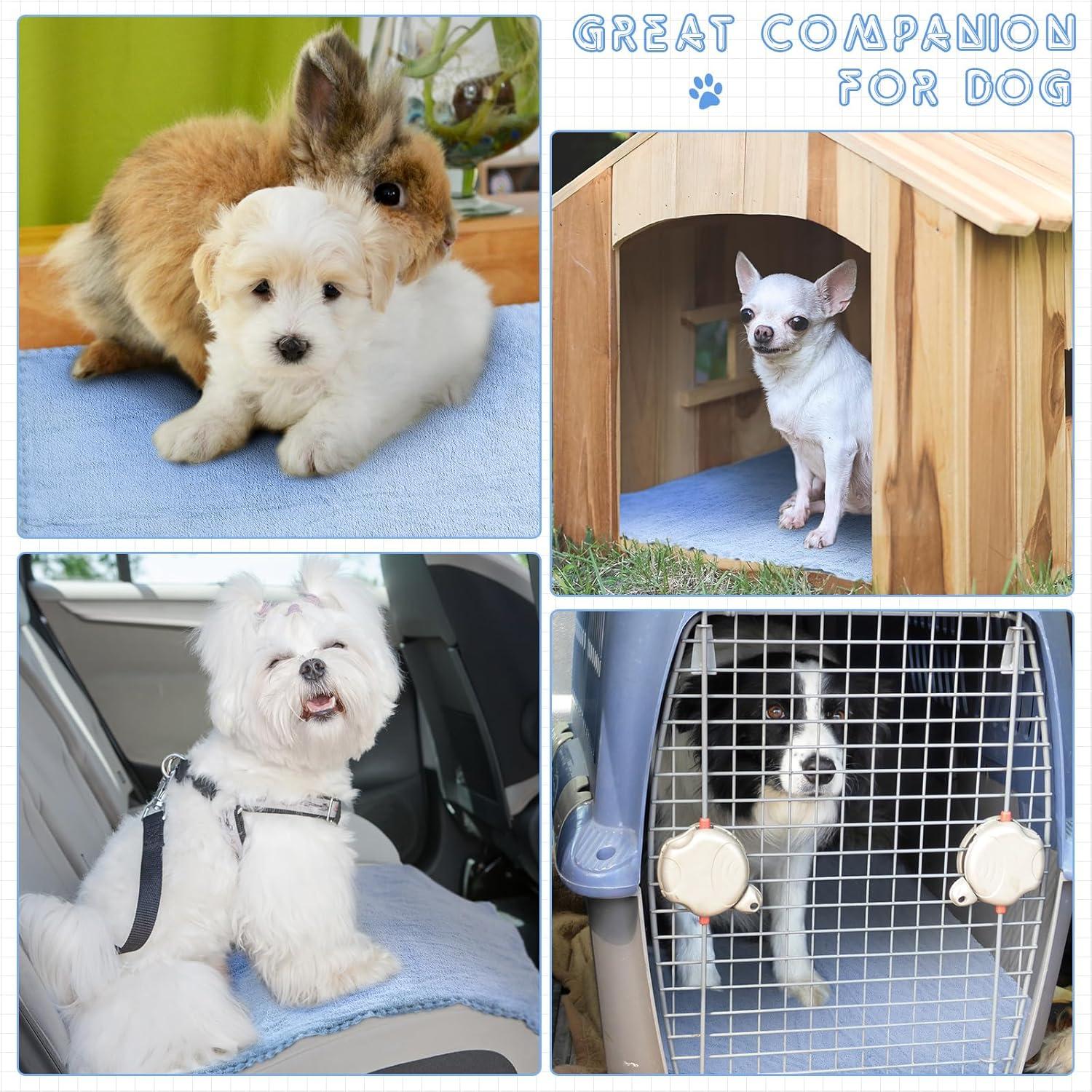 Wasserdichte Meerschweinchen Decken 10er Set Blau 18 x 24 Zoll