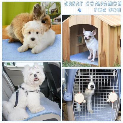 Wasserdichte Meerschweinchen Decken 10er Set Blau 18 x 24 Zoll