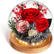 Ewige Rosen Glas Infinity Beleuchtete Konservierte Rote Blume LED