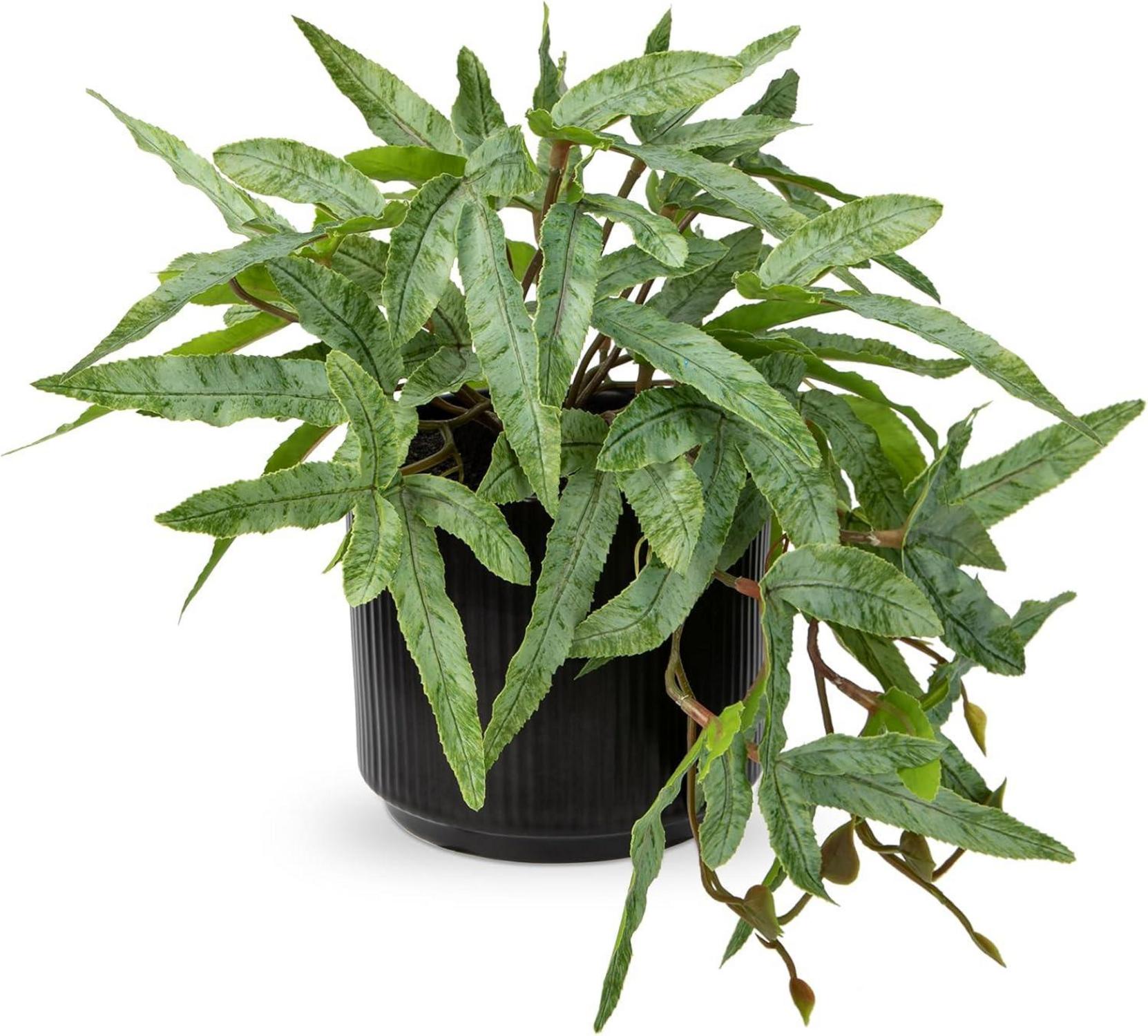 Künstliche Farnpflanze in Keramiktopf Dekopflanze Grün